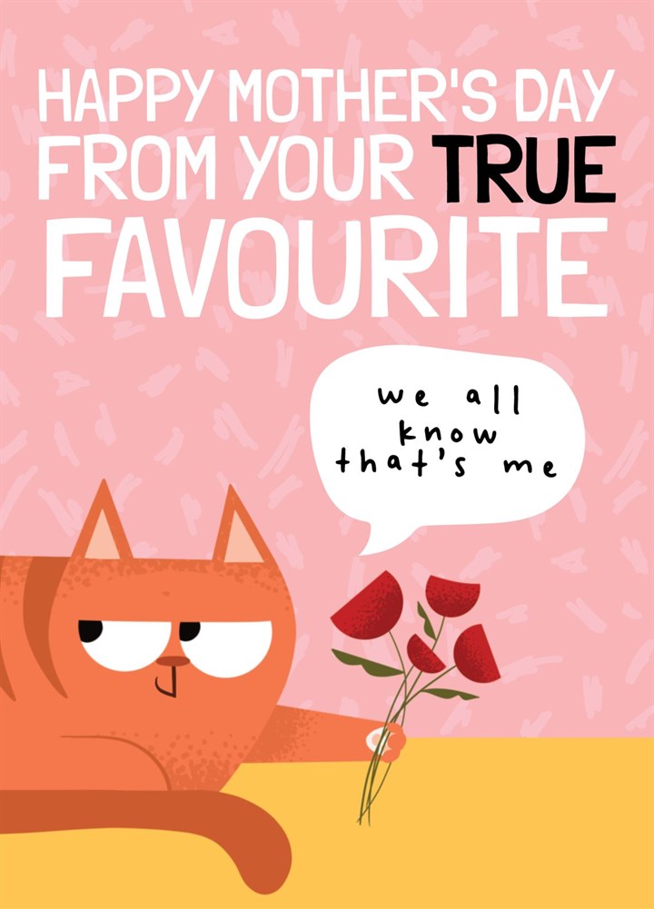 Mother's Day From The Favourite Cat Card