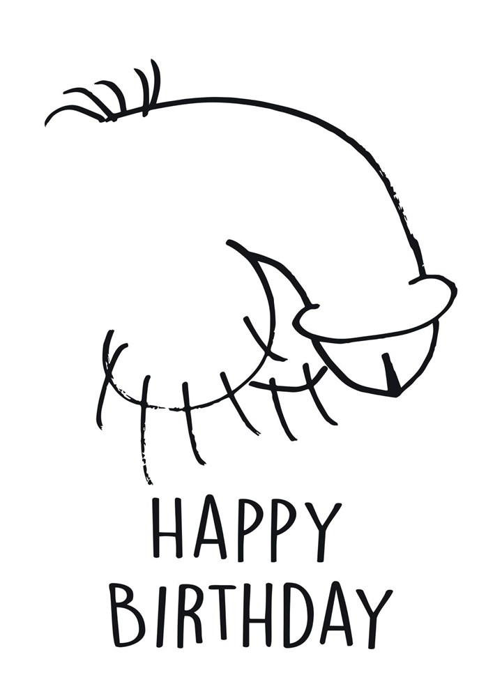 Happy Birthday Penis Card