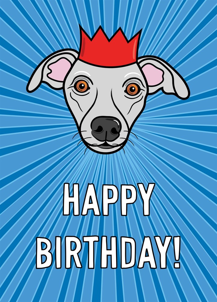 Whippet Dog Birthday Greeting Card