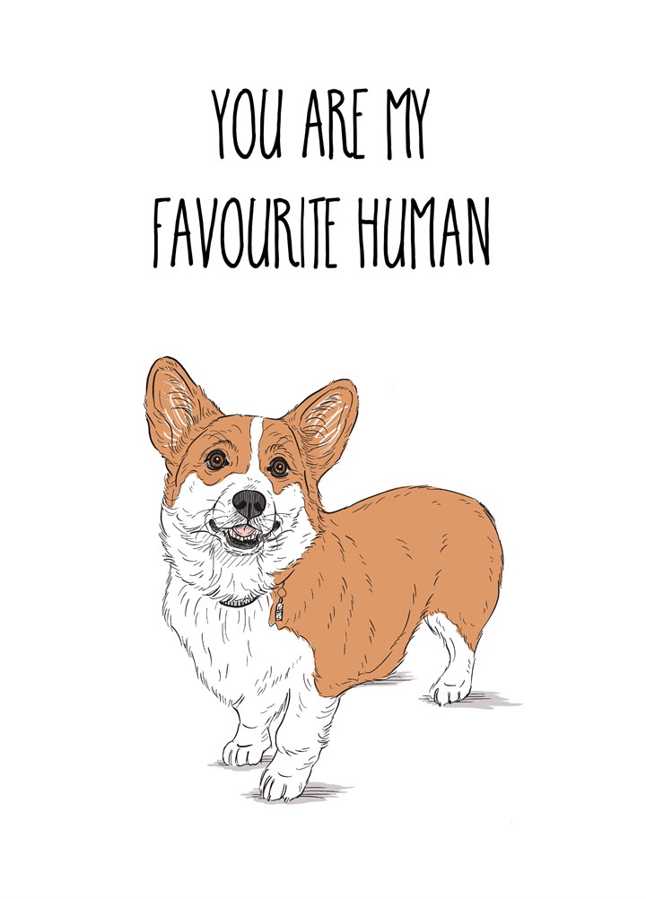 You Are My Favourite Human Card