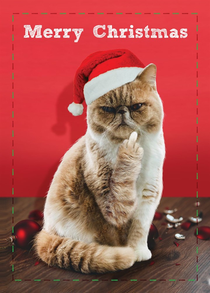 Merry Christmas Middle Finger Cat Card