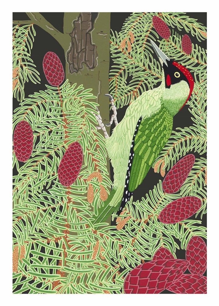 Green Woodpecker Card