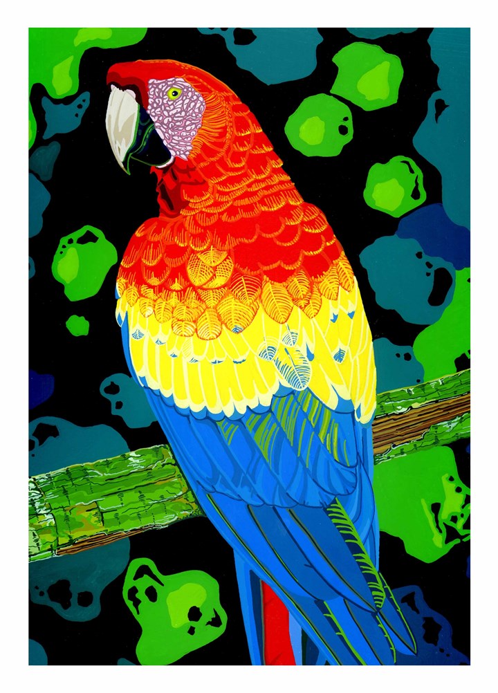 Macaw Card