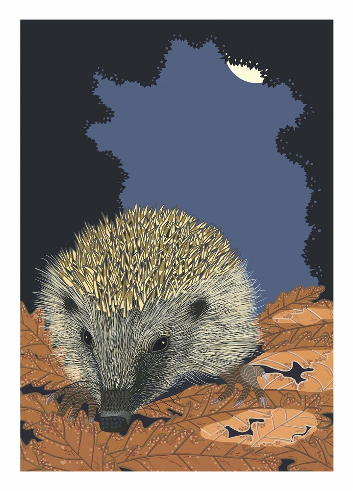 Nocturnal Hedgehog Card