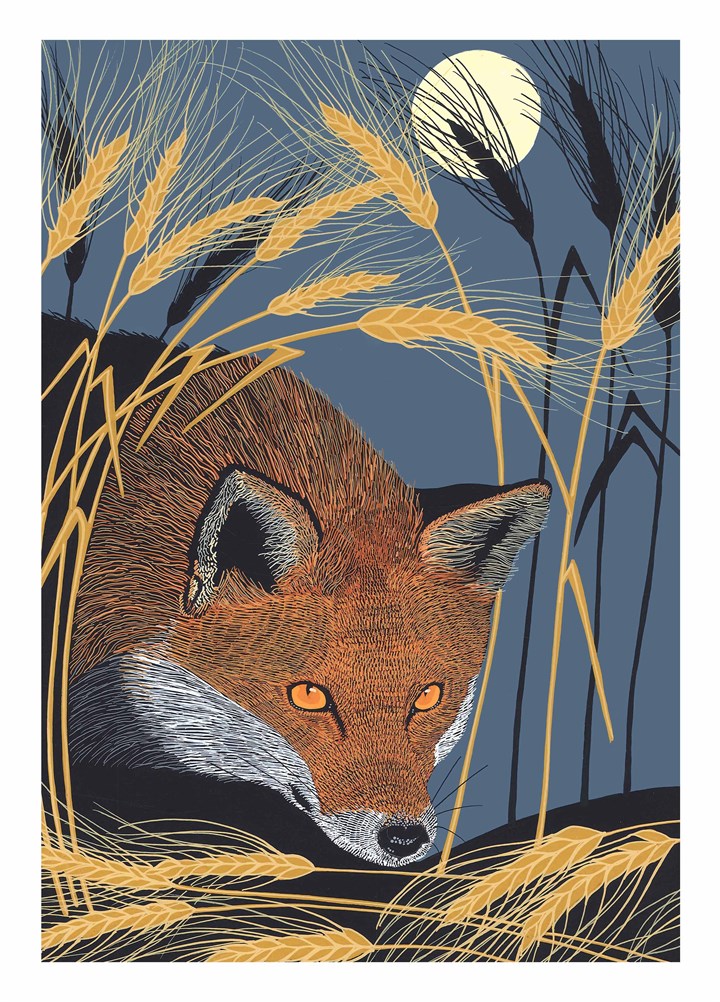 Nocturnal Red Fox Card