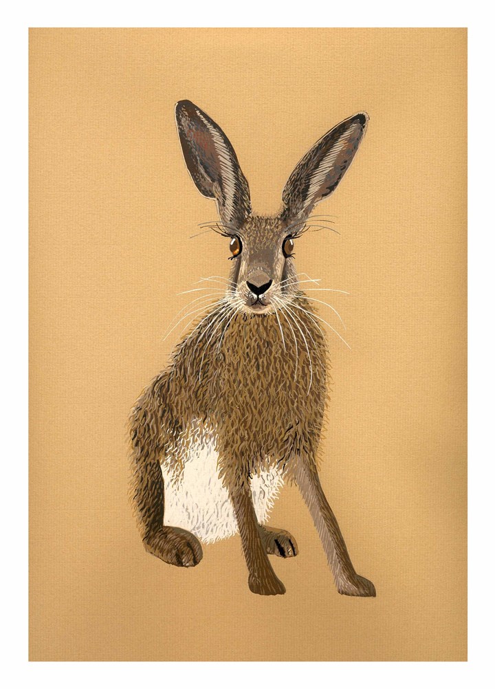 Brown Hare Card