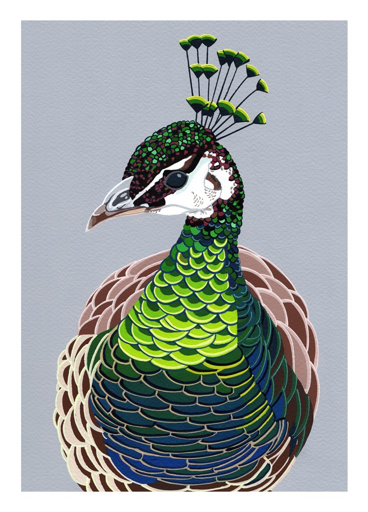 Peahen Card