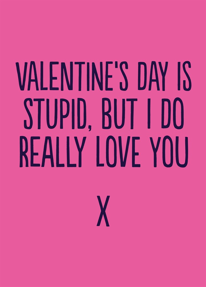 Valentine's Day Is Stupid Card
