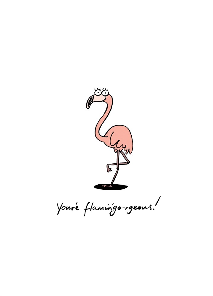 You're Flamingo-Rgeous Card