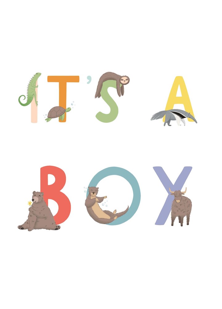 It's A Boy Animal Alphabet Card