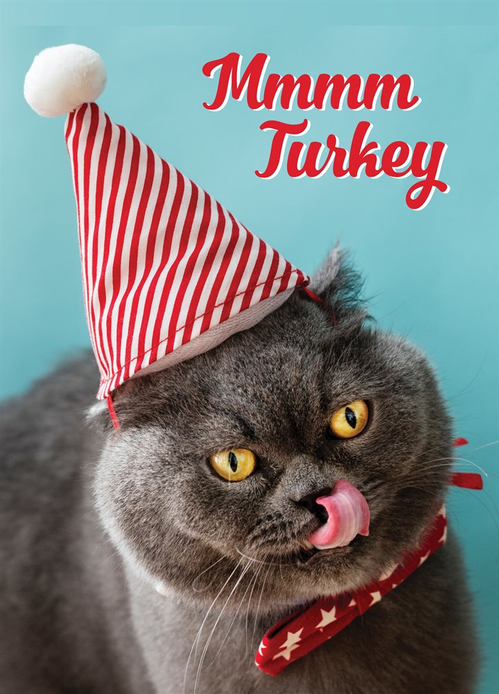 Mmmm Turkey Card