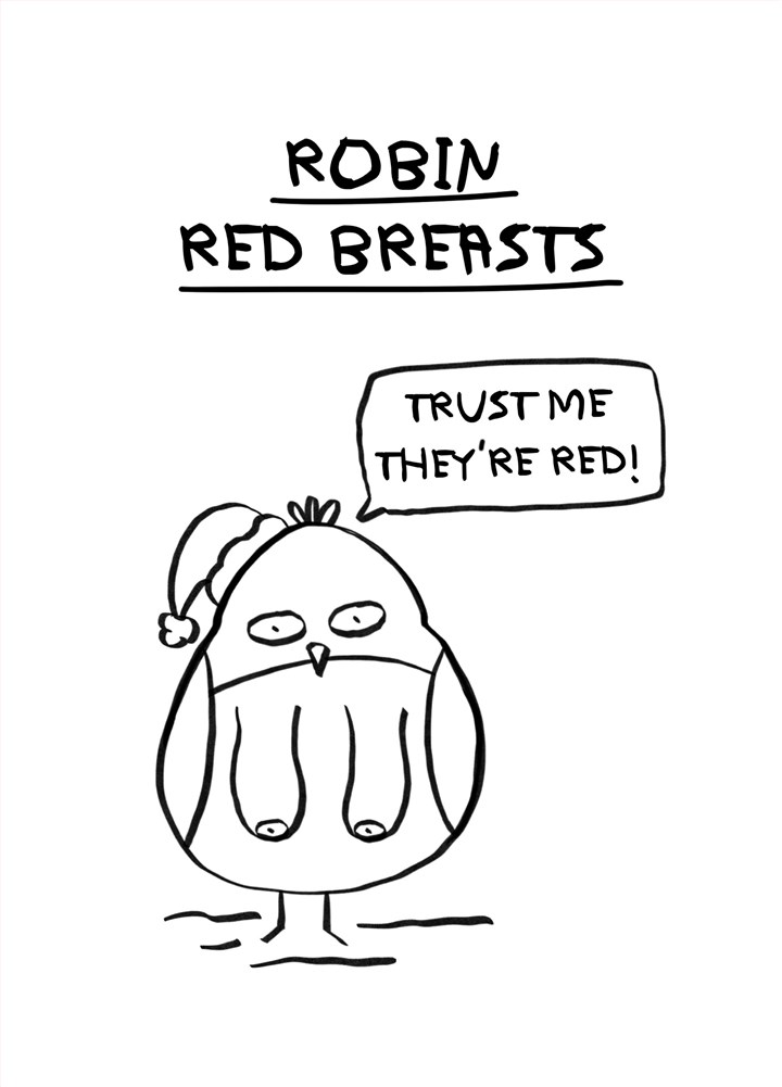 Robin Red Breasts Christmas Card