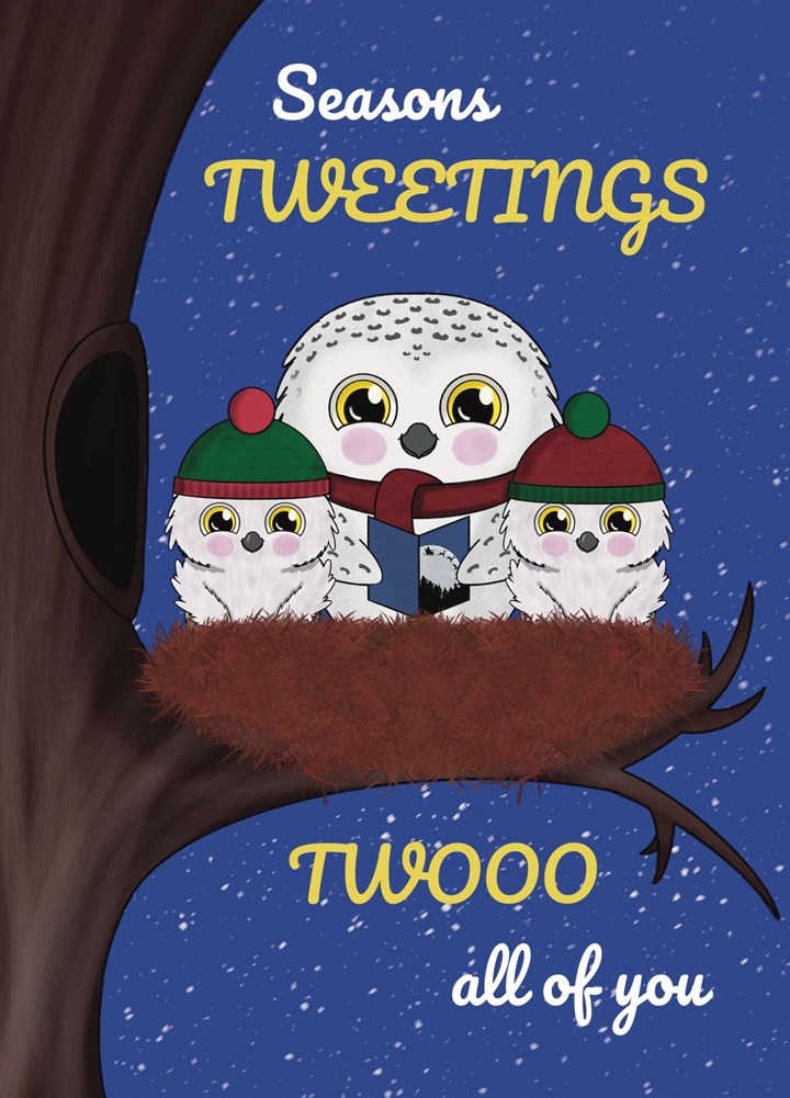 Cute Christmas Card, Cute Owl Family, Seasons Tweetings