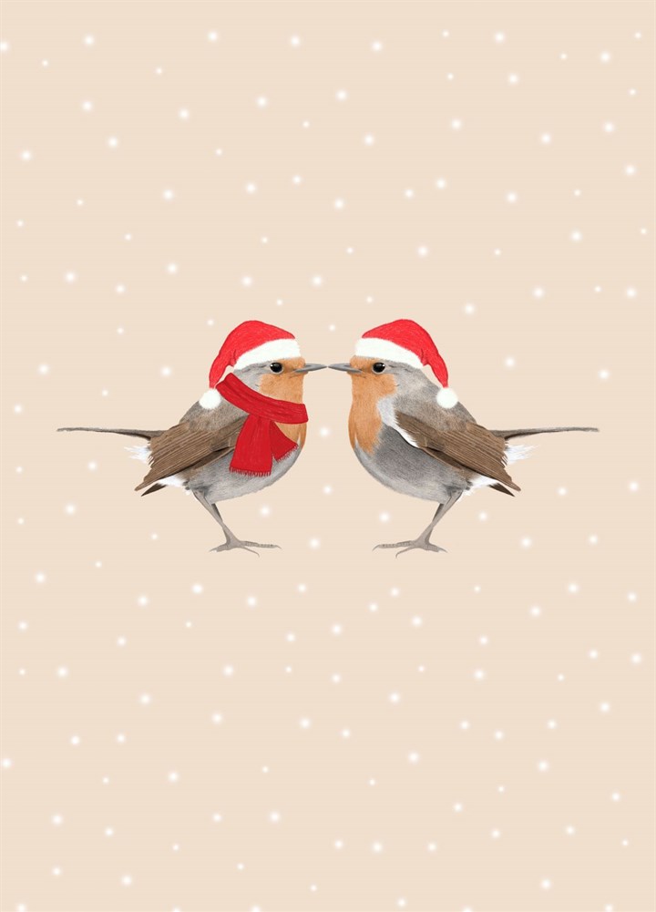 Christmas Robins Card