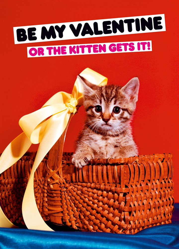 The Kitten Gets It Card