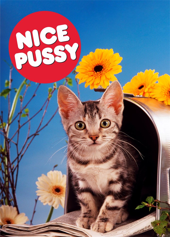 Nice Pussy Card