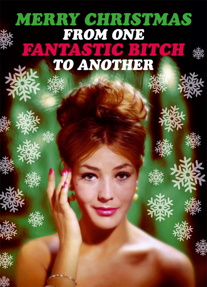 Merry Christmas From One Fantastic Bitch Card