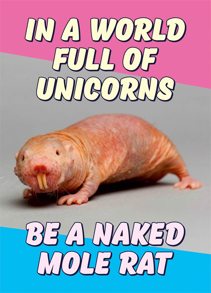 Naked Mole Rat Card