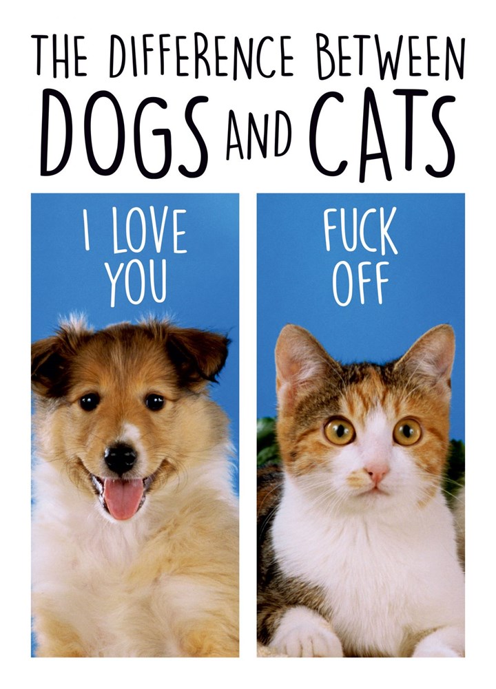 Difference Between Dogs And Cats Card