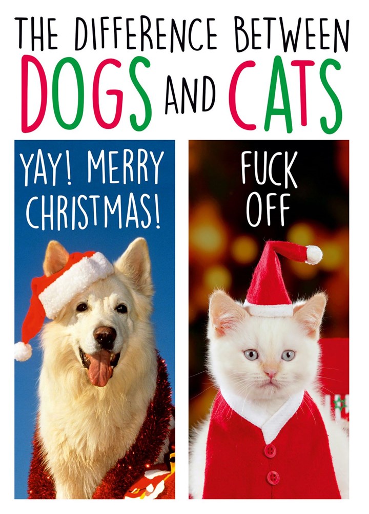 Difference Between Dogs And Cats Card
