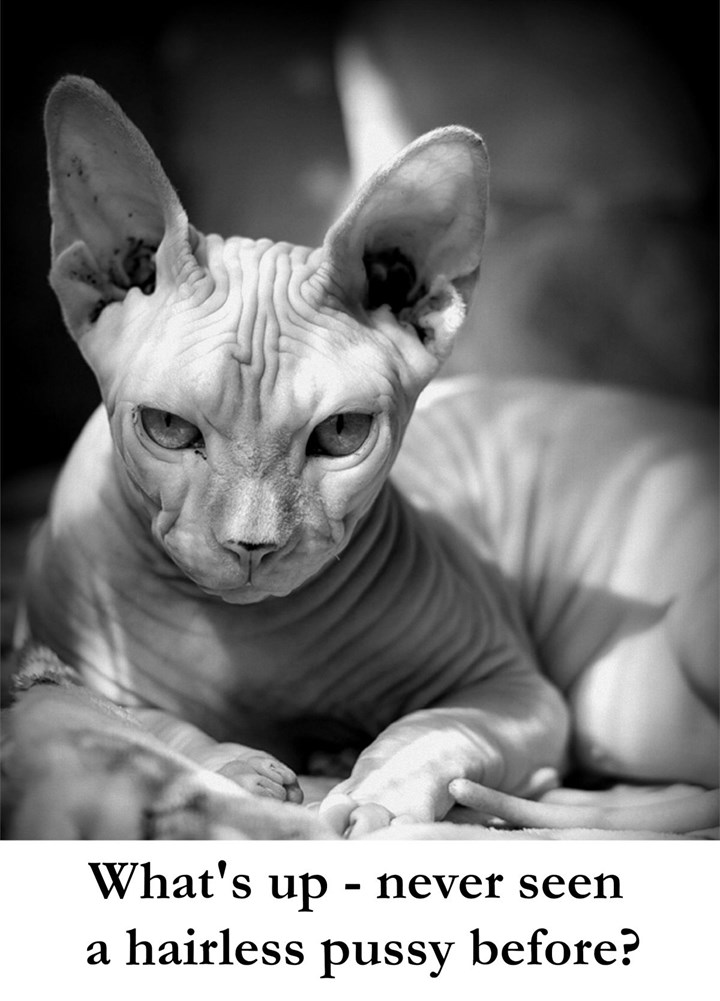 What's Up - Never Seen A Hairless Pussy Before? Card