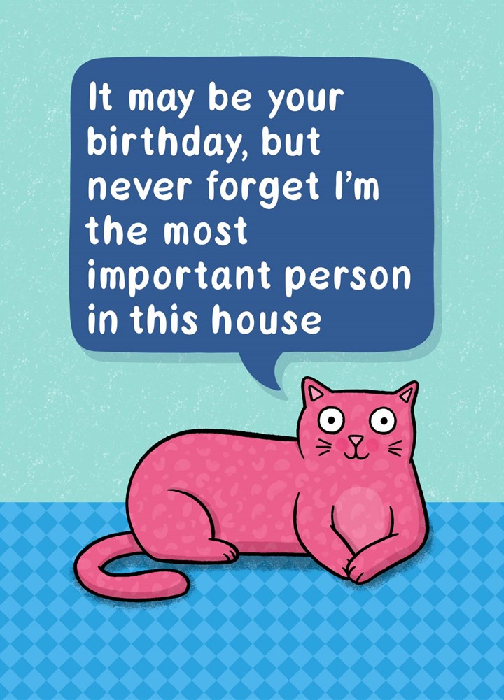 The Most Important Cat Card