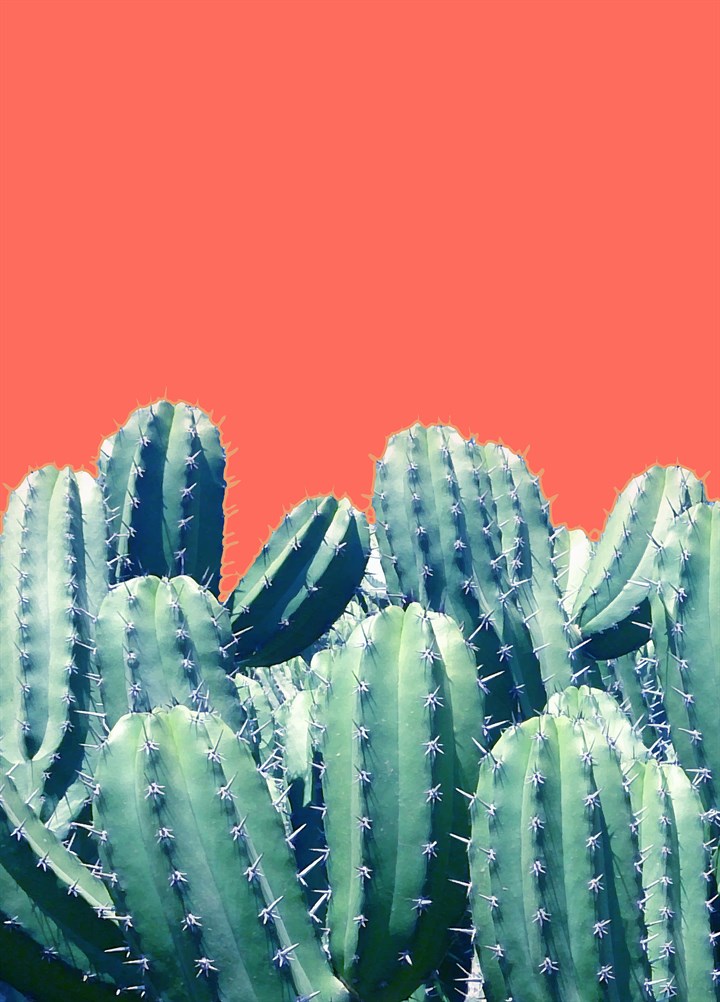 Cactus On Coral Card