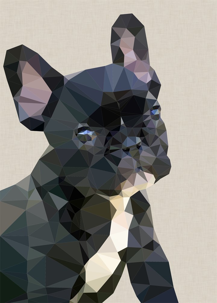 Frenchie Card