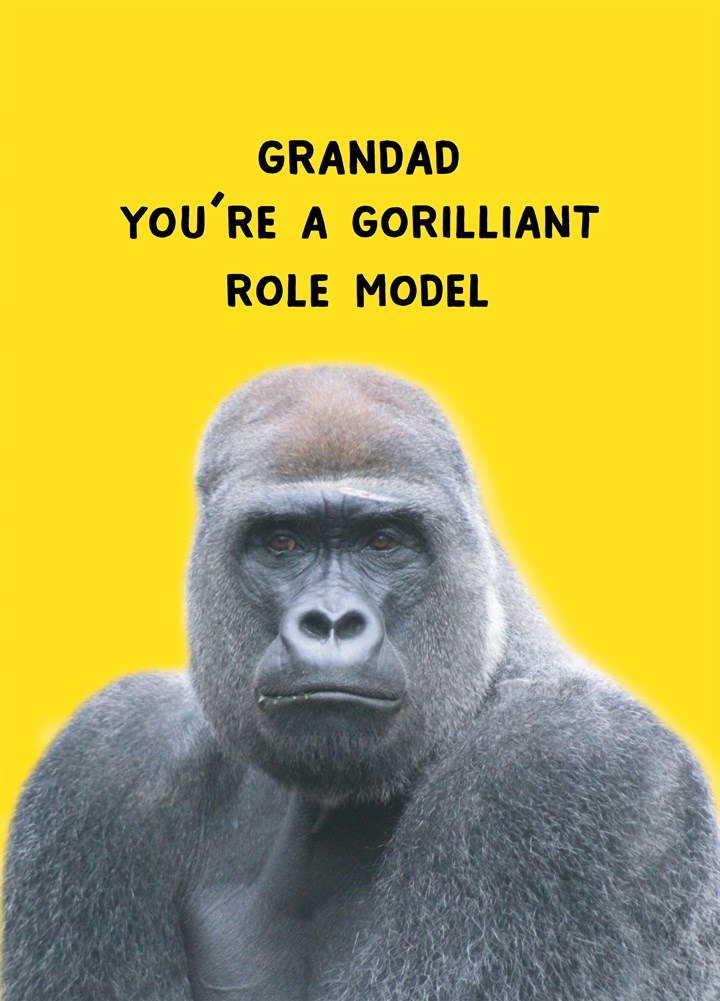 Gorilliant Role Model Card