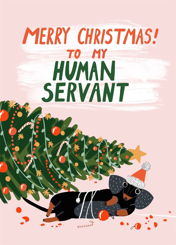 Merry Christmas To My Human Servant Card