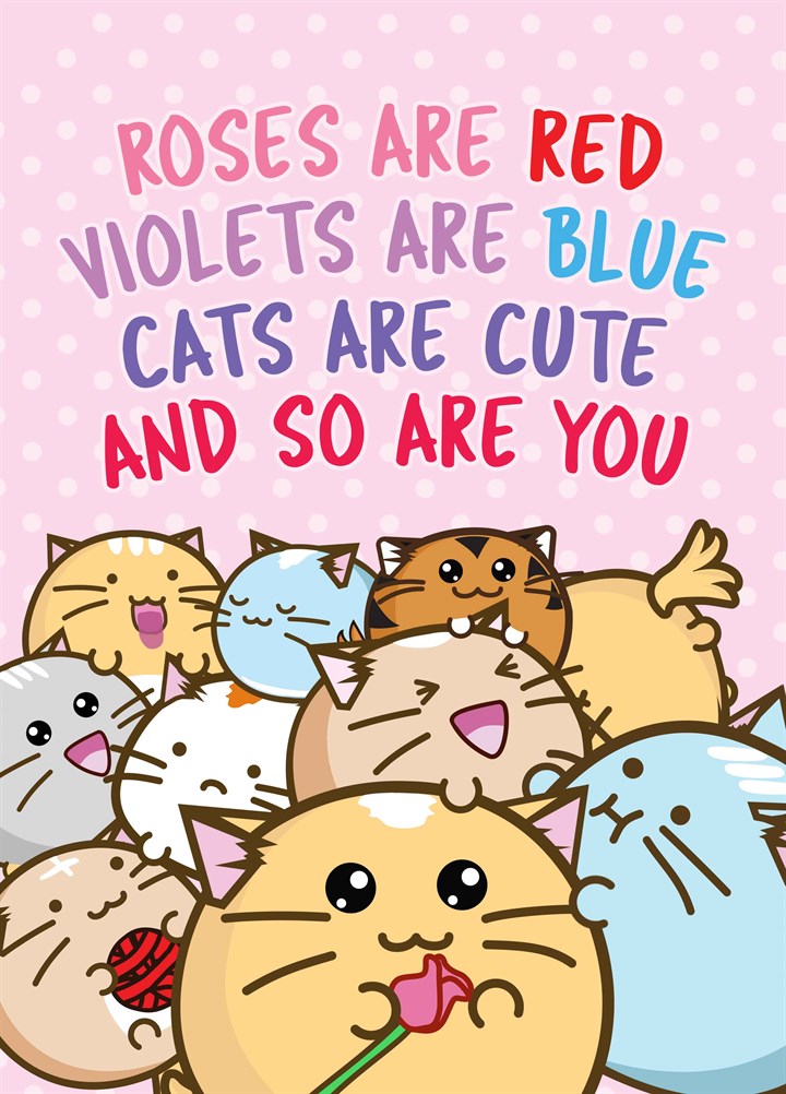 Cats Are Cute And So Are You Card