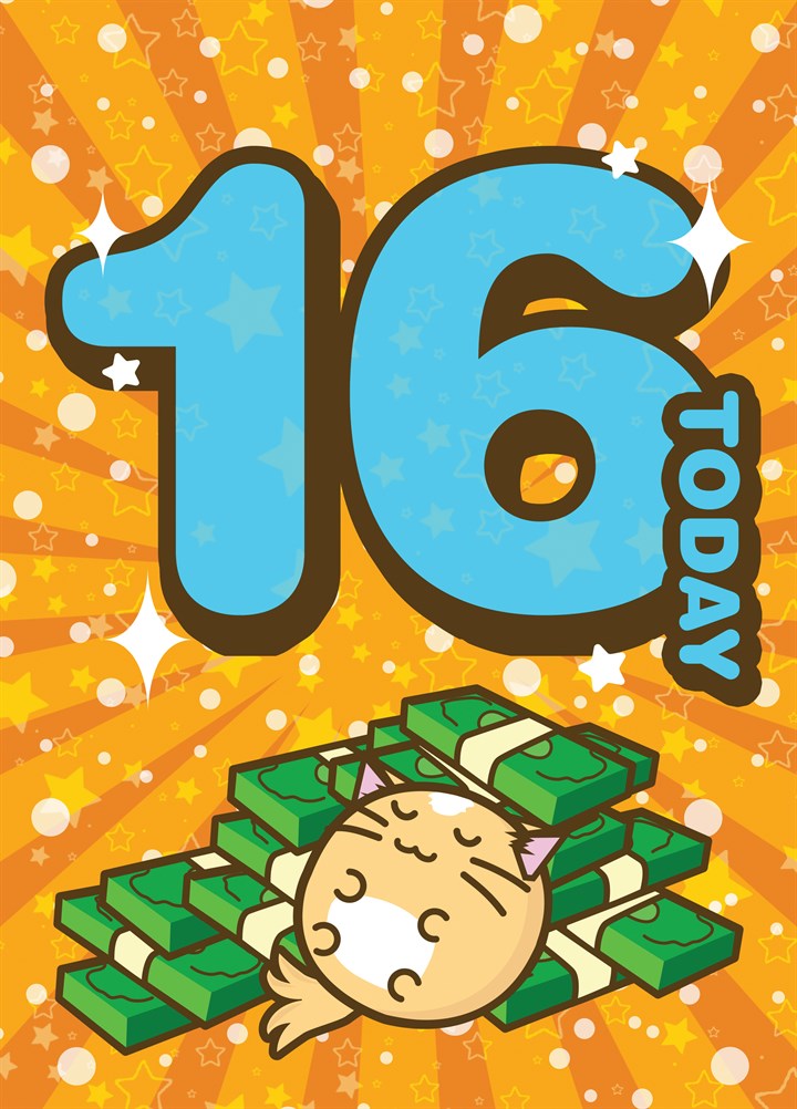 16 Today Birthday - Fuzzballs Card