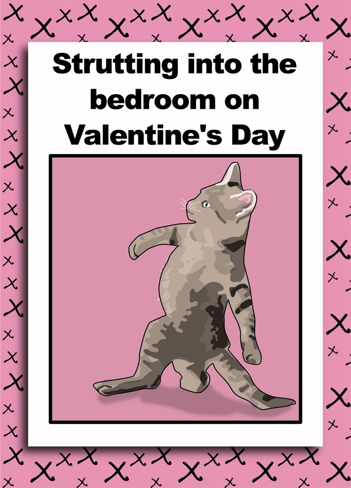 Cat Walk Meme Valentine's