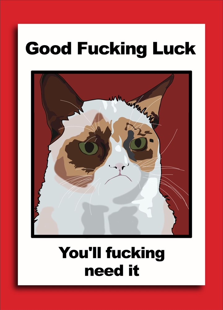 Grumpy Cat Meme (Good Luck) Card