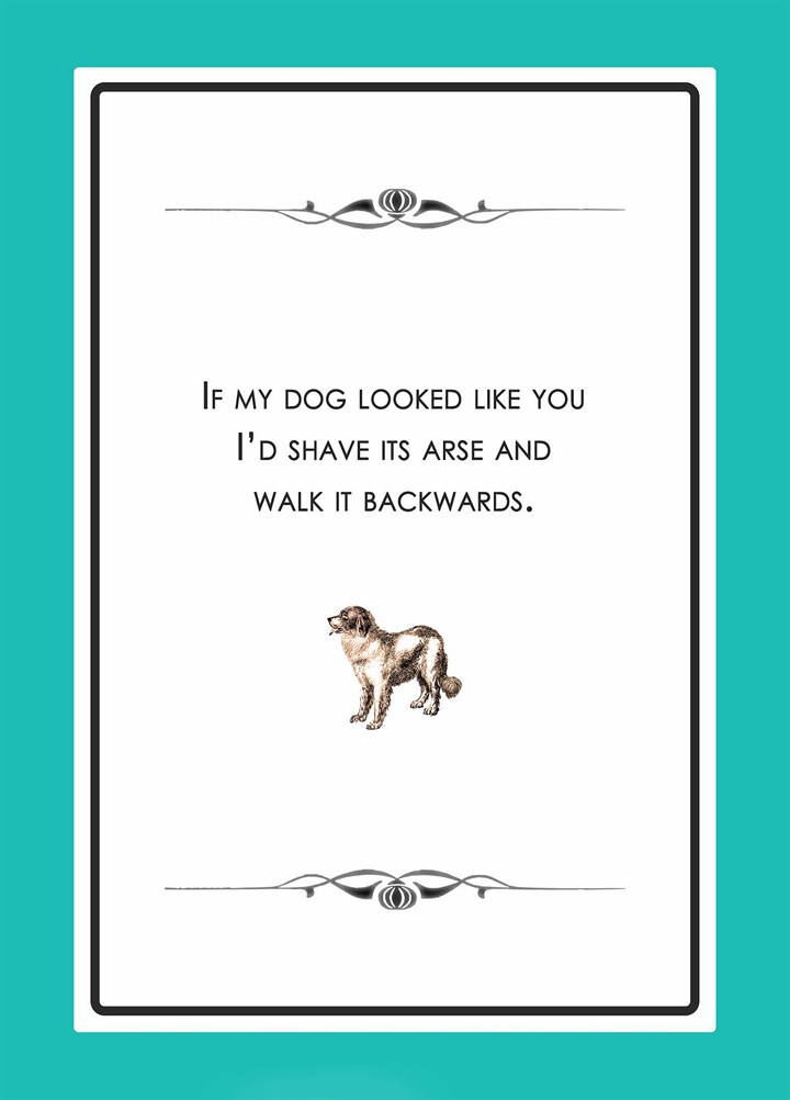 If My Dog Looked Like You Card