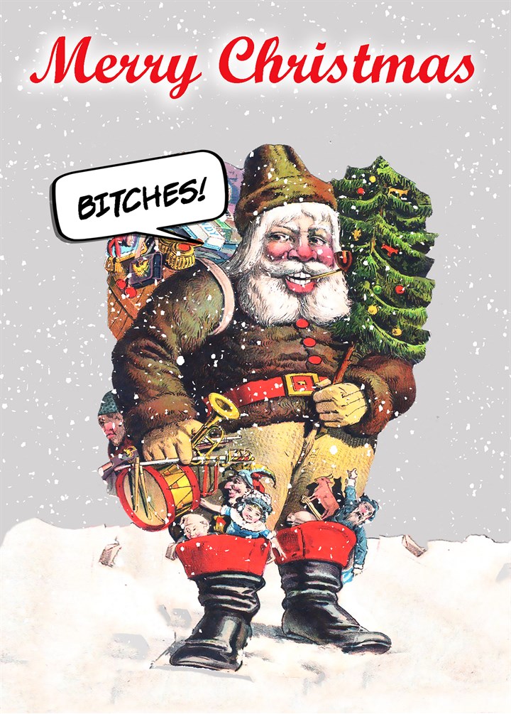 Merry Christmas Bitches Card