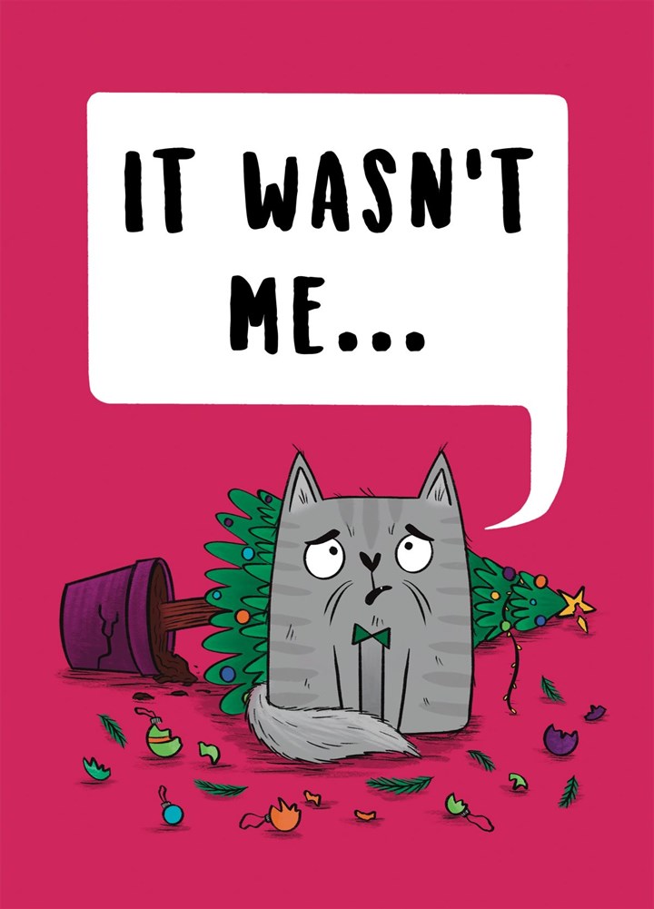Funny Guilty Cat Christmas Card. It Wasn't Me...