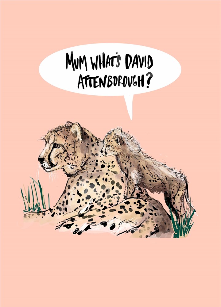 Mum What's David Attenborough Card