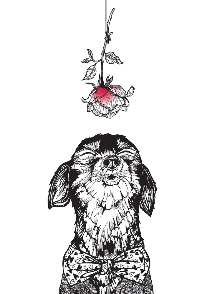 Dog And Rose Card