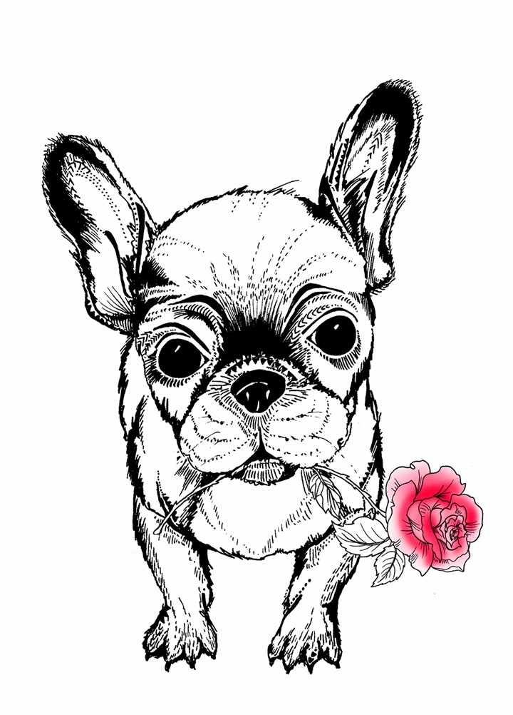 Frenchie Love Card