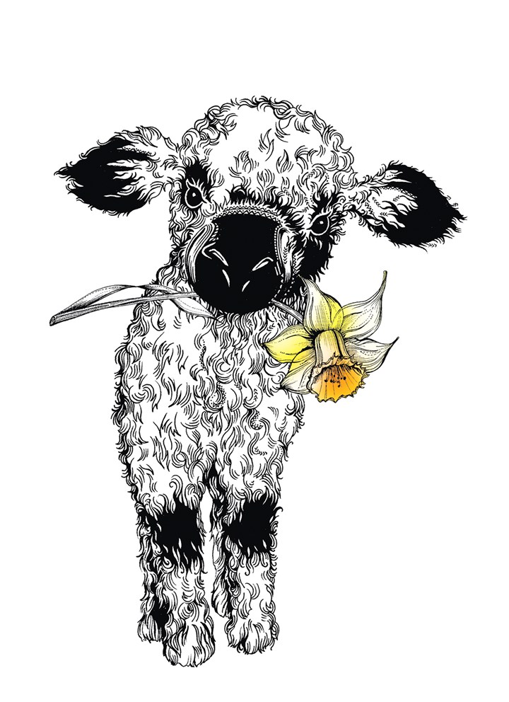 Lamb And Daffodil Card