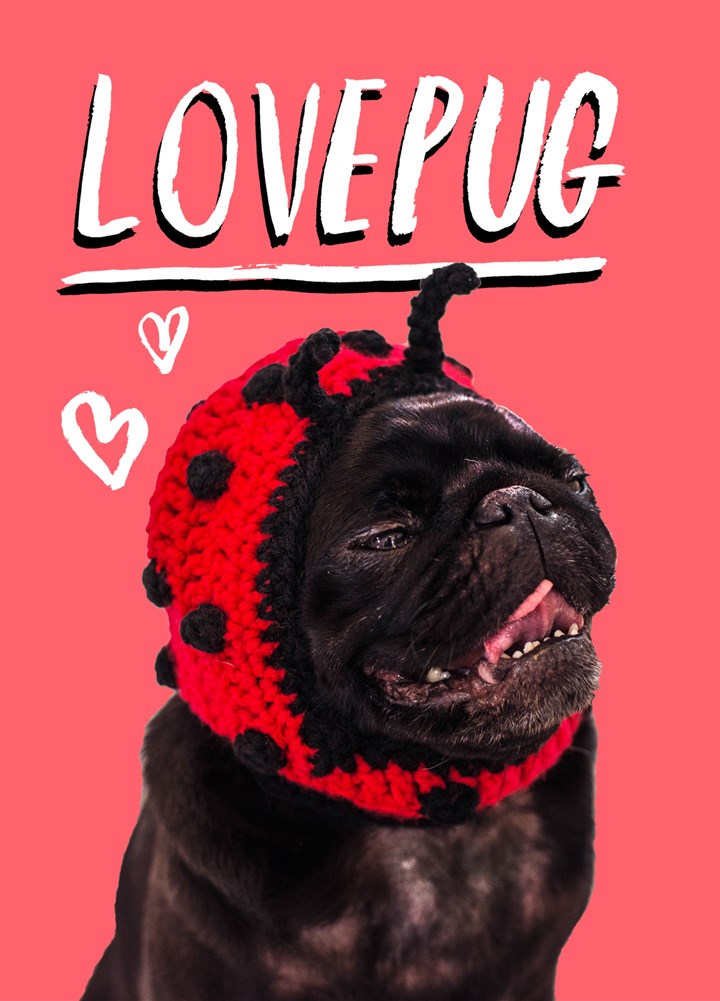 Love Pug Card
