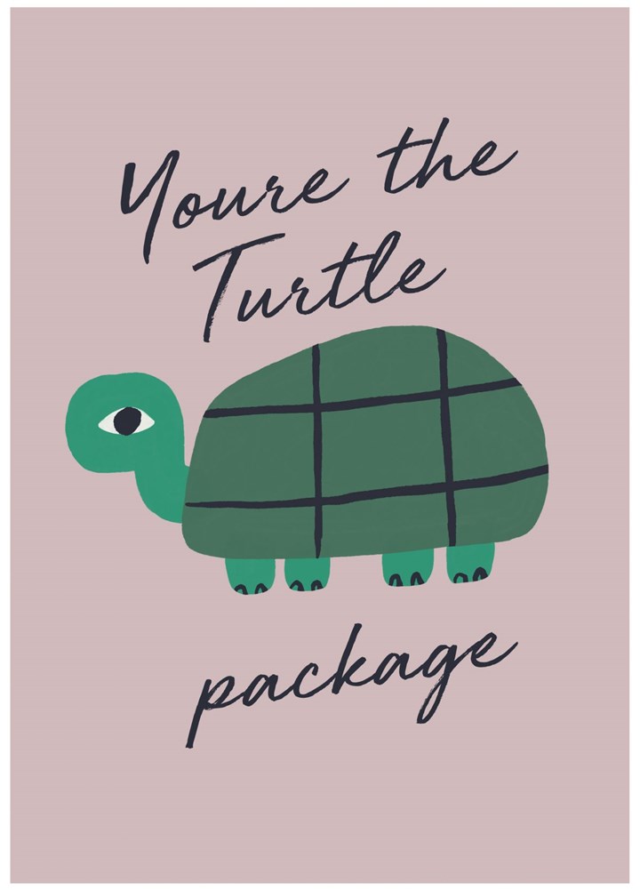 You're The Turtle Package Card