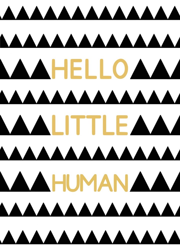 Hello Little Human - New Baby Card