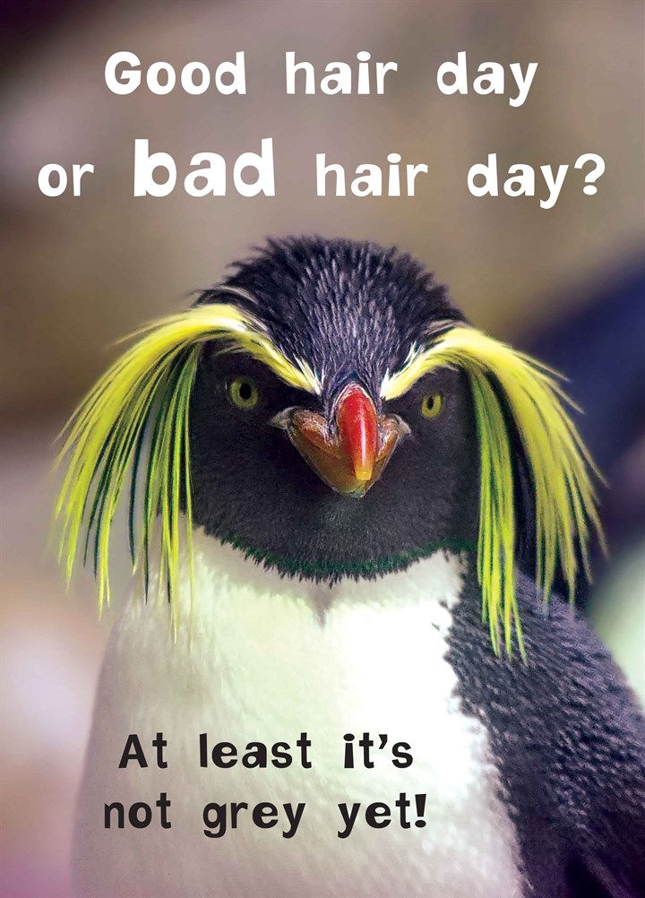 Bad Hair Day Card