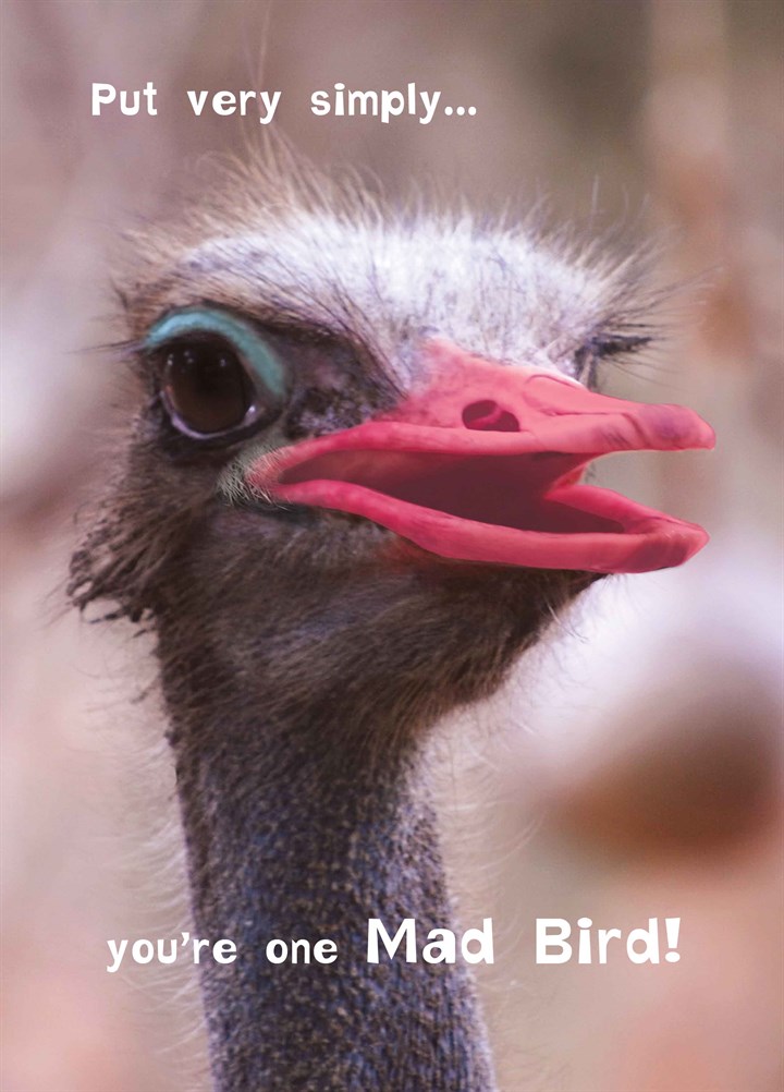 One Mad Bird Card