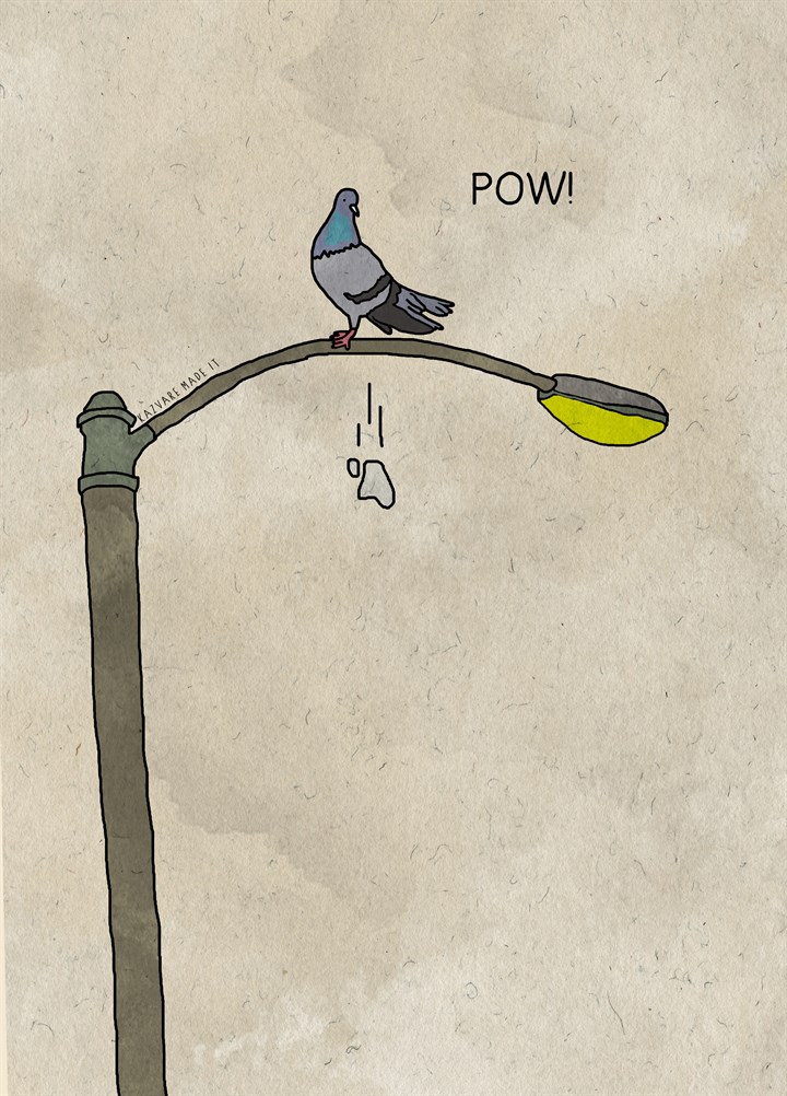 Bird Poo Pow Card