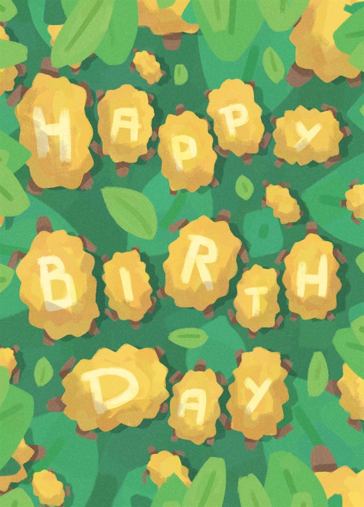 A Very Tortoise Birthday Card