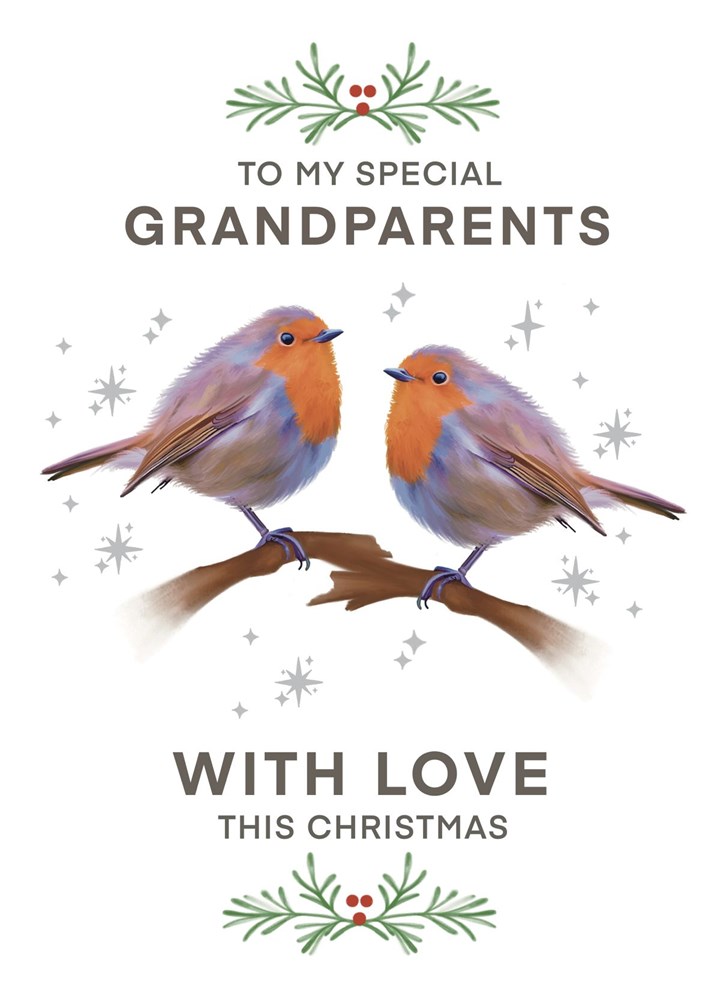 Special Grandparents Christmas Robins Card