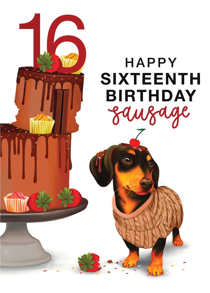 16th Sausage Dog Birthday Card